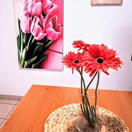 Casa Dei Fiori Monolocale *