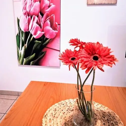 Casa Dei Fiori Monolocale *